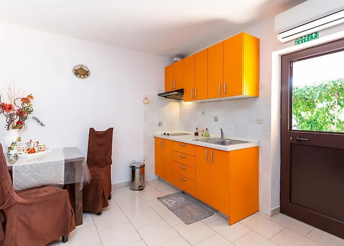 Alice Oasis - 포레치