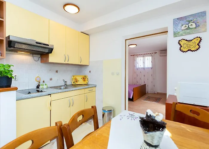 Alice Oasis - 포레치