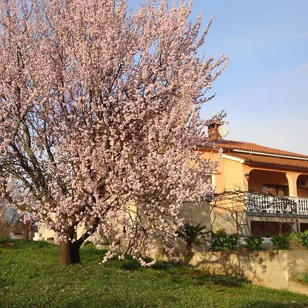 Apartments Alice Green Oasis - Porec