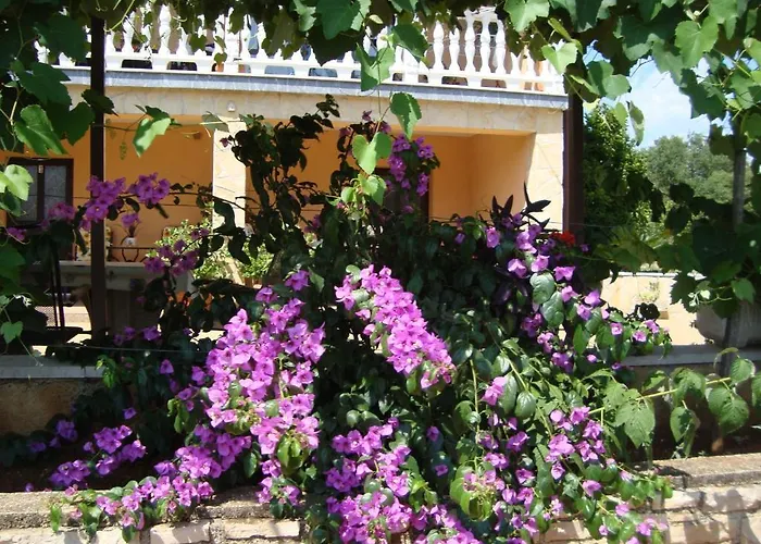 Alice Oasis - *